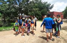 Progreso All-Inclusive Cenote swim Shore Excursion