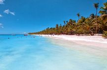 Saona Island Tour from Juan Dolio with pickup