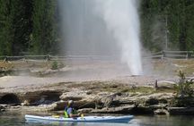 4-Hour Morning Kayak on Yellowstone Lake with Lunch