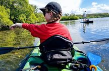 Noosa Everglade Kayak -South/Noosa End - Searching for Stingrays!