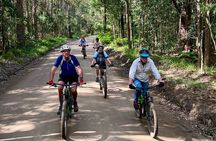 Scenic eBike of the Noosa Biosphere Trail Network