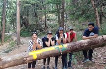 Guided Kora Circuit & Walking Tour Around McLeod Ganj