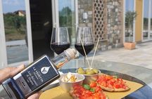 5-Hour Food and Wine Tasting in Modena