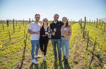 Bodega Gamboa Premium Wine Tasting with Lunch