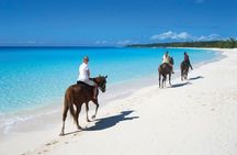 Horseback Riding along the Beach