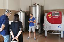 Private Visit to Acetaia with Tasting