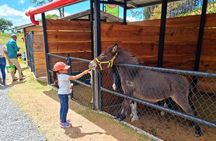 Daily Pass to Eco Park of Cerro la Cruz in Boquete