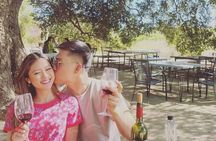 Quiero mas vino, valle de Guadalupe Tours