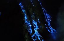 Ijen Crater Tour From Bali 1 Day