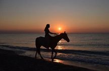 Antalya Horse Riding On Beach And Through The Forests For 2 Hours