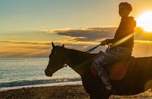 Antalya Horse Riding On Beach And Through The Forests For 2 Hours