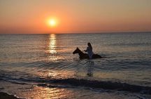 Antalya Horse Riding On Beach And Through The Forests For 2 Hours