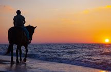 Antalya Horse Riding On Beach And Through The Forests For 2 Hours