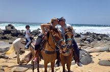 Aruba Beach Ecological Horseback Ride