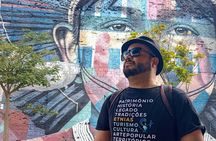 Private Guided Tour - Full Day in Rio de Janeiro