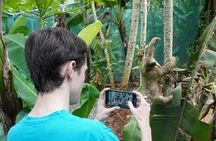 Rain forest, Wild life, Waterfall and Chocolate Private Tour