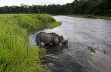 3-Day Chitwan National Park Jungle Safari Tour Package with Pick Up