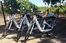 Experience E-Bike with Wine Tasting Activity