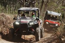 Beach-mountain & Sloth Refuge Buggy Tour