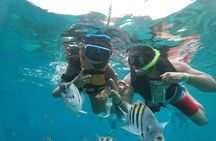 Chankanaab Beach Park Day pass with Snorkeling 