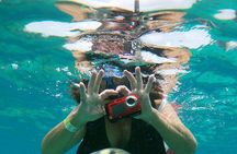 Chankanaab Beach Park Day pass with Snorkeling 