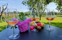 Wine Tasting with Local Food in Lazise Countryside