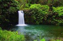 Exclusive Private Luxury Road to Hana Tour
