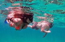 Whale Watching & Snorkeling Combo in Los Cabos with Photos Included 