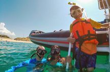 Whale Watching & Snorkeling Combo in Los Cabos with Photos Included 