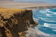 Private Tour to Ballestas Islands, Ica and Huacachina Including Sandboarding