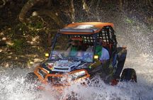 Private Beach and Mountain Buggy Tour in Guanacaste