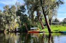 Private Tour to Ciudad Universitaria, Coyoacán and Xochimilco