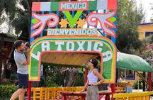 Private Tour to Ciudad Universitaria, Coyoacán and Xochimilco