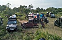 Minneriya / Kaudulla National Park Jeep Safari 
