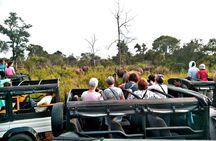 Minneriya / Kaudulla National Park Jeep Safari 