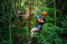 Cape Tribulation & Ziplining: Ultimate Daintree