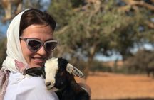 Your Own Morocco. Along The Ocean From Marrakech: Three Days of Happiness