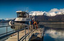 Minitrekking Perito Moreno: Ice hiking tour (optional transfers)
