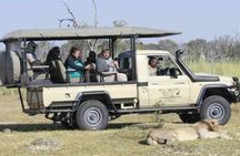Elephant Trail Moremi Day Tour