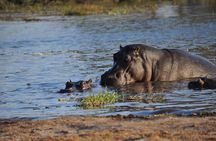 2 nights 3 days Overnight Mokoro Trail Okavango delta
