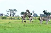 2 nights 3 days Overnight Mokoro Trail Okavango delta