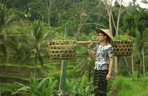 Bali 2 Days Package Nusa Penida and Ubud Tour with All Inclusive