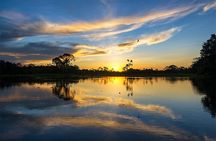Tambopata Eco Jungle - 3 Day Tour (Nature and Wildlife)
