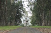 Cotopaxi Volcano and Colonial Hacienda Day Trip