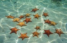 Cozumel Sea Safari Snorkeling Tour