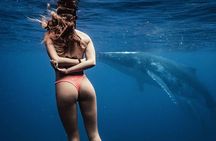 Private Half Day Whale Watching Tour