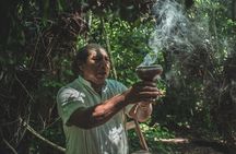 Unforgettable Journey: Coba, Monkey Reserve, and Mayan Cenote 