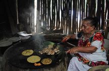 Unforgettable Journey: Coba, Monkey Reserve, and Mayan Cenote 
