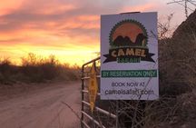 Las Vegas VIP Sunset Safari Tour