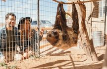 Las Vegas VIP Sunset Safari Tour